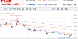 SK이노베이션 주식 차트