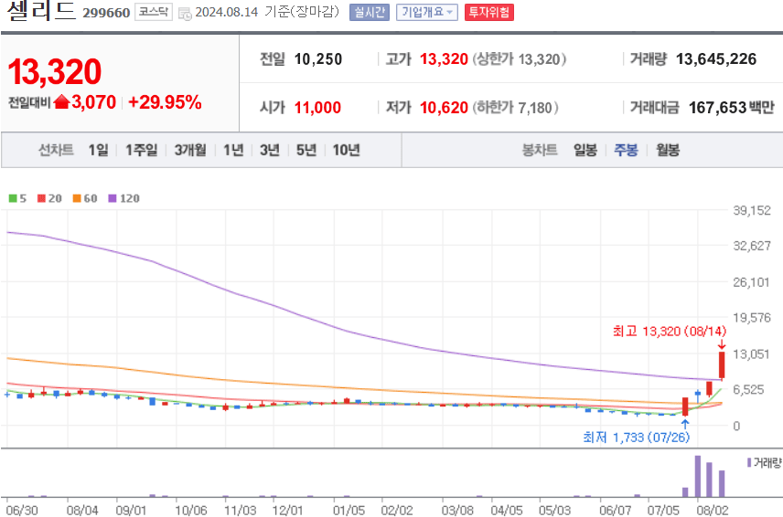 셀리드 주식 차트