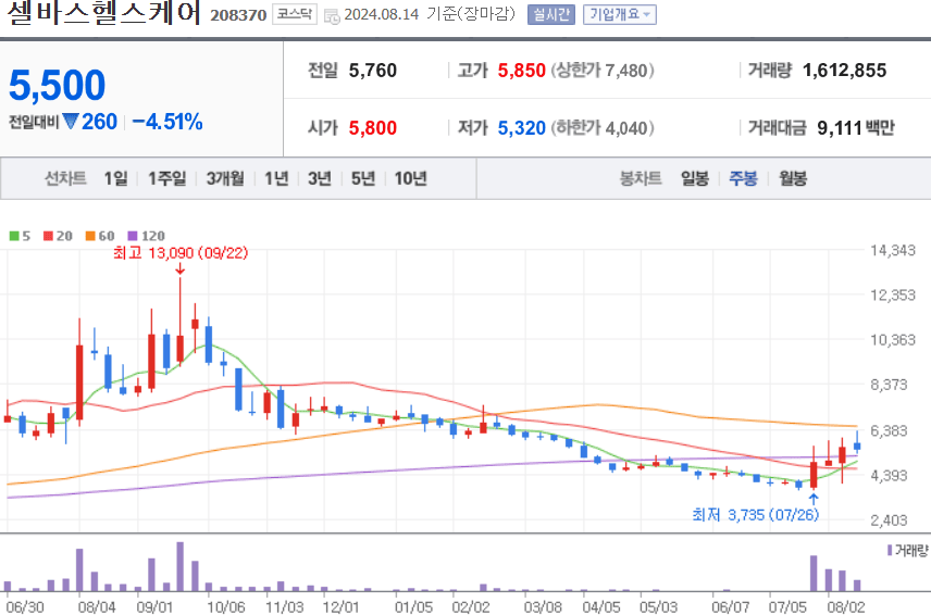 셀바스헬스케어 주식 차트