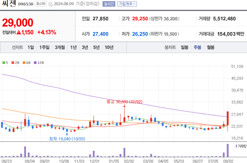 씨젠 주식 차트