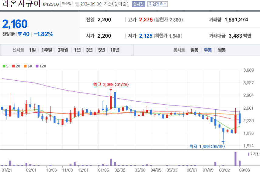 라온시큐어 주식 차트